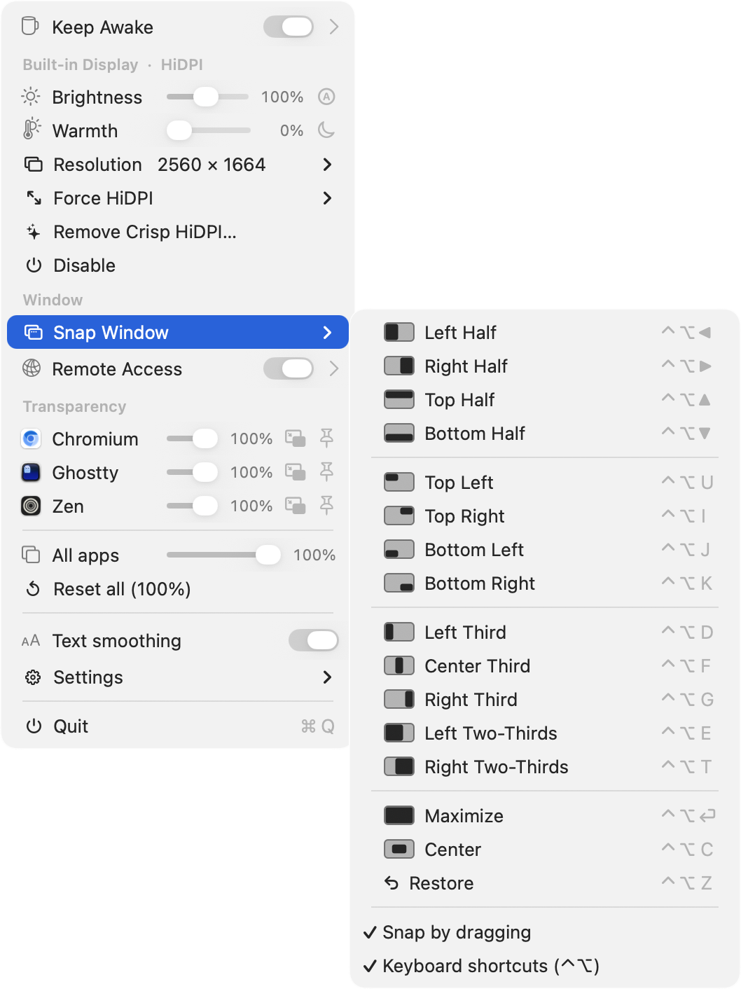 Window snap submenu with a layout glyph and ⌃⌥ shortcut beside every tiling option
